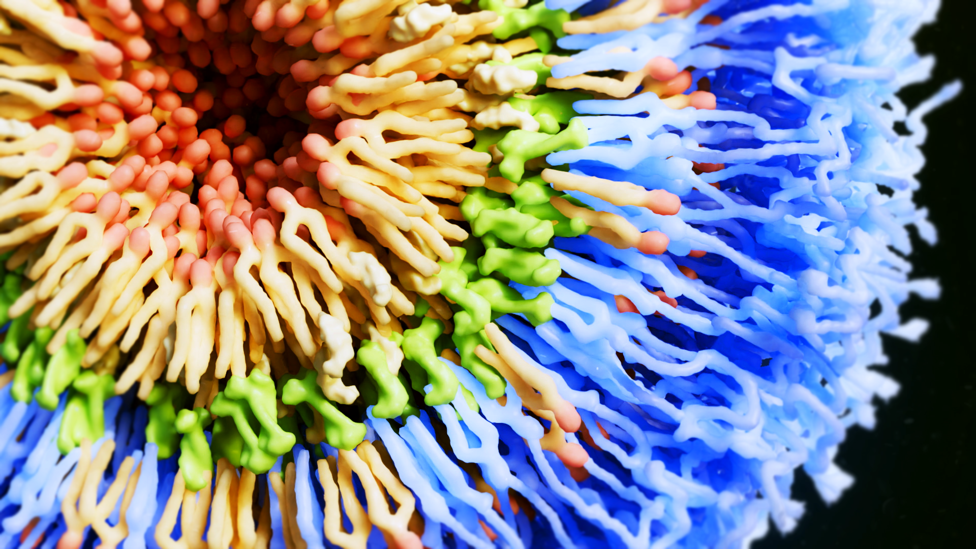 Illustration of liposome loading