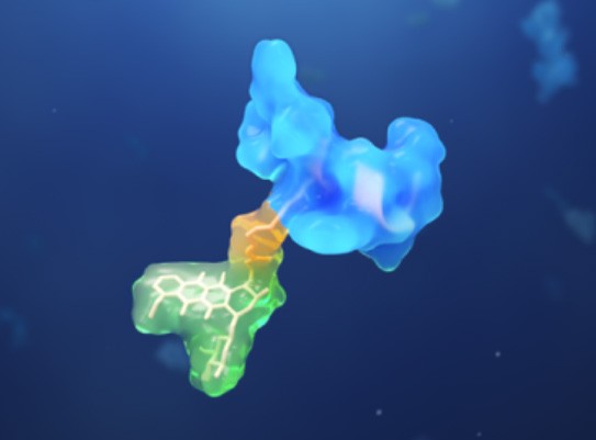 Peptide drug conjugate illustration